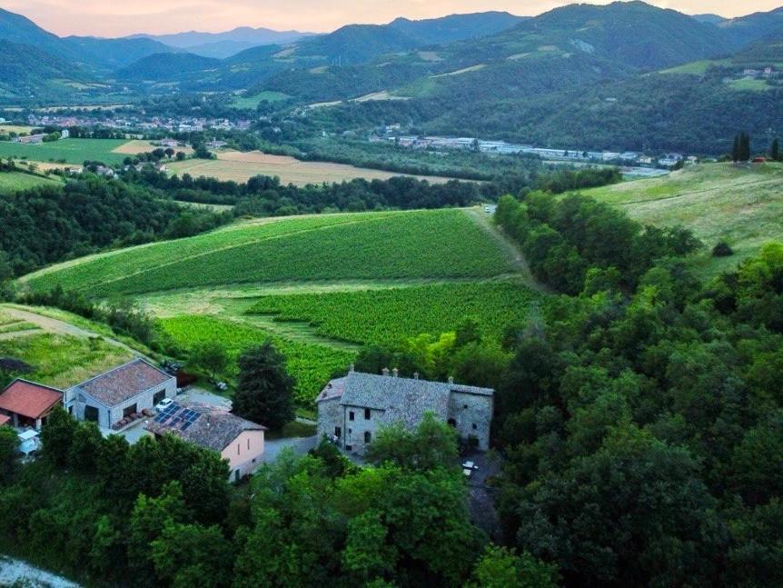 Tenuta Folesano Wine Estate 13Th Century 마르차보토 외부 사진